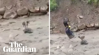 Construction worker saves dog from raging Bolivian river after flooding