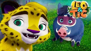 Leo and Tig 🦁 New collection for children 🐯 Fun family Good cartoon for children