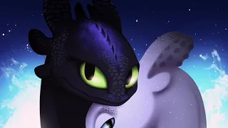 Toothless and light fury