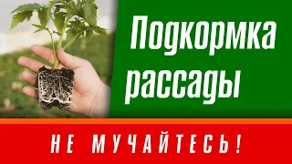 Подкормка рассады.  Не мучайтесь!