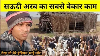 सऊदी अरब का सबसे बेकार काम मजरा का है | अकेले रहकर बकरी ऊंट चलाना पड़ता है | Chandan Saudi Arabia |