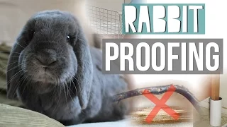Rabbit Proofing