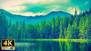 Relaxing music that heals stress, anxiety and depressive conditions, heals, gentle music 🌿