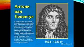 История развития зоологии