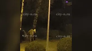 Вопли, мат и наркопляски: новокузнечанин полночи снимал из окна осквернение парка