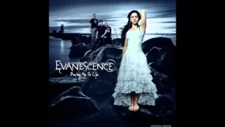 Evanescence – Bring me to life (Dj Villain & Quba Remix)