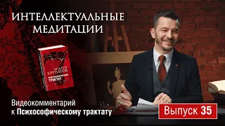 Интеллектуальные медитации. Видеокомментарий к Психософическому трактату: выпуск 35