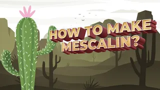 How To Make a MESCALIN in San Pedro : Dried Version ( Turkish /English )