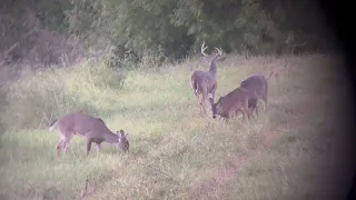 2022 Opening Weekend of Deer Season: South Texas River Valley Ranch