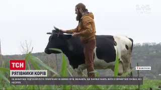 У Вінницькій області подружжя рятує приречених на бойню корів