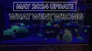 140 Gallon Reef Tank Update - May 2024