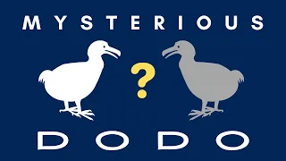 5 Mysteries of the Dodo Finally Solved - Appearance, Name, Extinction, Taxonomy, White Dodo