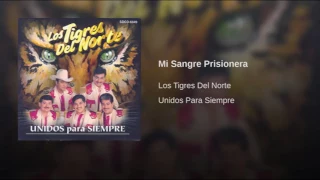 Mi Sangre Prisionera