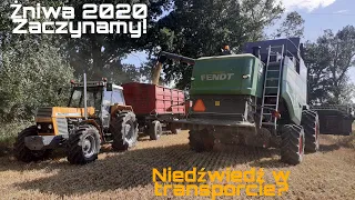 Niedźwiedź w transporcie!Rozpoczynamy żniwa 2020.Koszenie jęczmienia ozimego.