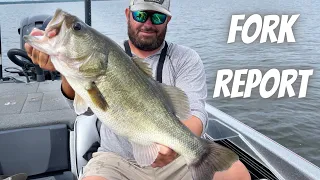 Lake Fork Summer Bass Fishing 2022: In Depth Reports and Tips From Lake Fork Guides!!!
