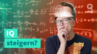 Wie werde ich intelligenter? | Quarks: Dimension Ralph