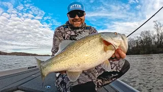 Cold Muddy Water Fishing Tips! (On The Water)