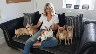 Vlog #6 | Life with 5 Chihuahuas - A Doggy Diary Part 1