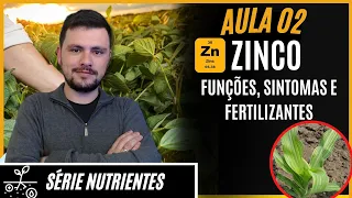 SÉRIE NUTRIENTES: ZINCO funções, sintomas de deficiência e fertilizantes para correção