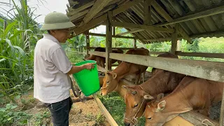 Anh Giàng Đầu Tư Khủng. Chuồng Dê Nhà Cháu Lộc Suýt Toang | TÀY TV