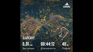 КАК И ЗАЧЕМ ИСПОЛЬЗОВАТЬ МОБИЛЬНОЕ ПРИЛОЖЕНИЕ Adidas если ты спортсмен с болезнью Паркинсона?