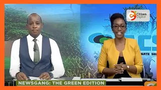 | NEWS GANG | Climate Change: That Great KICC Feeling