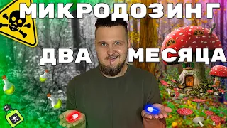 МУХОМОР ДВА МЕСЯЦА МИКРОДОЗИНГА