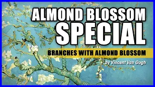 ALMOND BLOSSOM SPECIAL—"Branches With Almond Blossom" by Vincent Van Gogh