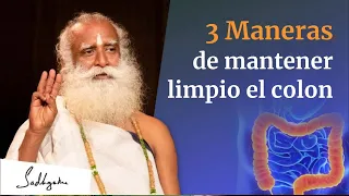 Tres formas de mantener el colon limpio | Sadhguru Esapñol