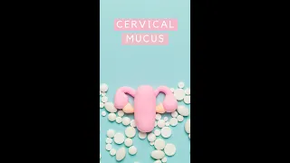 What your Cervical Mucus can tell you about being Fertile