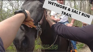 Wetmore & Salt Run Trail | Cuyahoga Valley National Park | [4k]