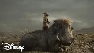 El Rey León 2019 - Timon y Pumba distraen a las Hienas (Español Latino)