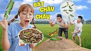 Hà Sam Ra Đồng Vợt Châu Chấu Chiên Giòn Cực Ngon - Đồ Ăn Vặt Tuổi Thơ Ở Nông Thôn