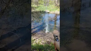 .40 S&W VS .357 Magnum on Water