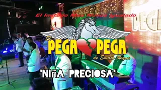 EL PEGA PEGA DE EMILIO REYNA- NIÑA PRECIOSA EN VIVO