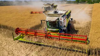 🌾 Žatva 2023 (Harvest 2023) | 2x Claas Lexion 8700 |  Agroslužby Miroslav Barabáš