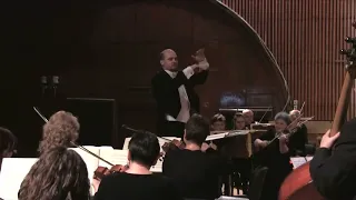 J. STRAUSS II Die Fledermaus Overture (The Bat) - Predrag Gosta and the Russe Philharmonic