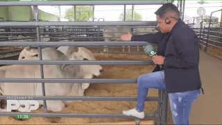 HOJE FOI DIA DE IR NA 55ª EXPOAGRO EM CUIABÁ | Arthur Garcia