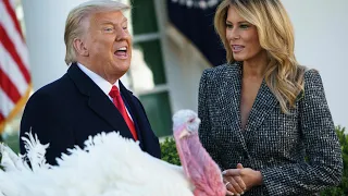 Donald Trump 'pardons' White House Thanksgiving turkey