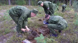 Военные сборы 2019