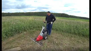 Содержание коровы в городе. Обзор немецкой косилки AL-KO