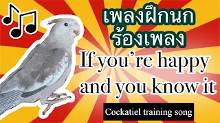 ฝึกนกร้องเพลง COCKATIEL training song: If you're happy and you know it