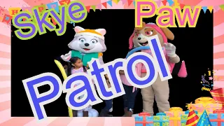 Skye paw patrol latino | Wiwi Shows