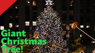 The Rockefeller Center Christmas Tree | A Brief History #shorts