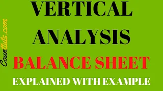 Vertical Analysis of a Balance Sheet | Explained with Example