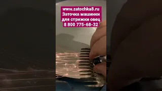 Заточка машинок для стрижки овец, качественно.