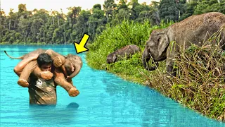 Man Rescues Drowning Baby Elephant. Then The Herd Shocks Everyone With An Unbelievable Response