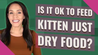 Is it OK to feed kitten just dry food?