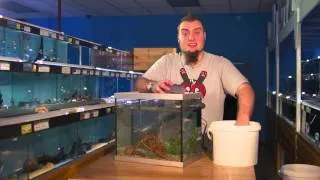Fishkeeping Tips- How To Perform A Water Change On An Aquarium