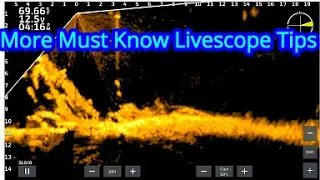 Helpful Garmin Livescope Tips to Help You Catch Crappie | Crappie Fishing with Livescope